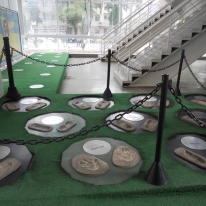 FG Gallery Calcio